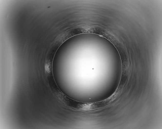 X0000096630090200802051116