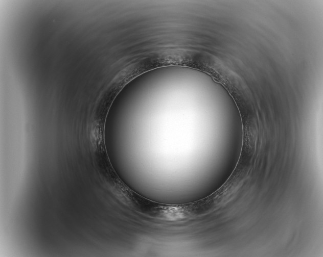 X0000096630091200802051116