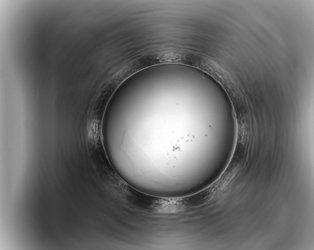 X0000096630093200802051116