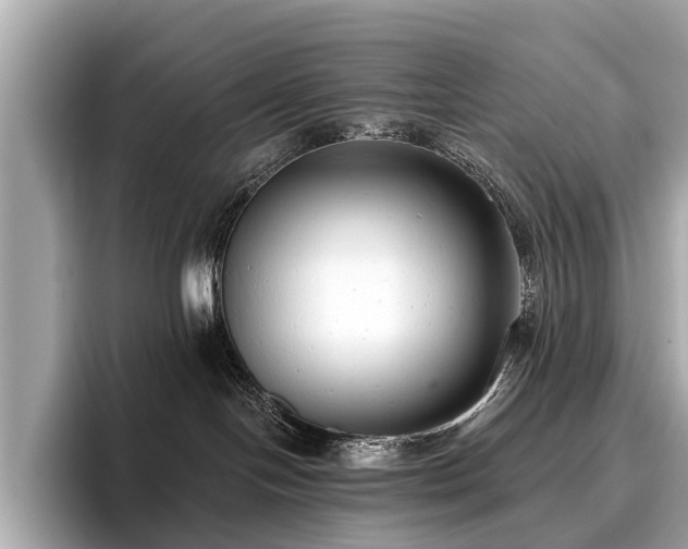 X0000096630094200802051116