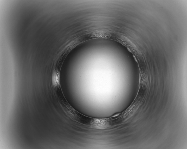 X0000096630095200802051116