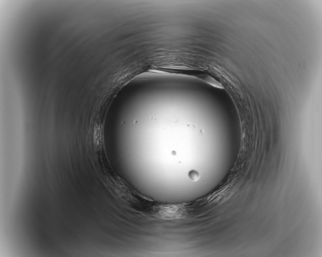 X0000096630096200802051116