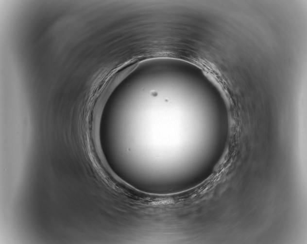 X0000096630097200802051115