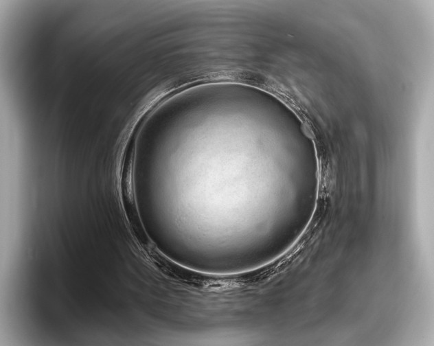 X0000096630099200802051115