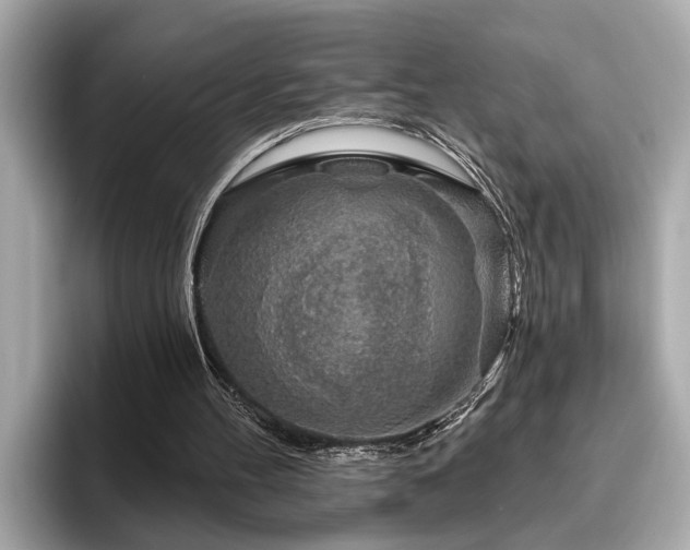 X0000096630100200802051115