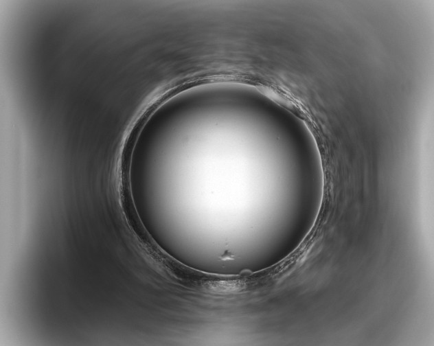 X0000096630102200802051115