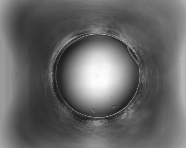 X0000096630103200802051115