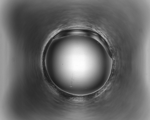 X0000096630104200802051115