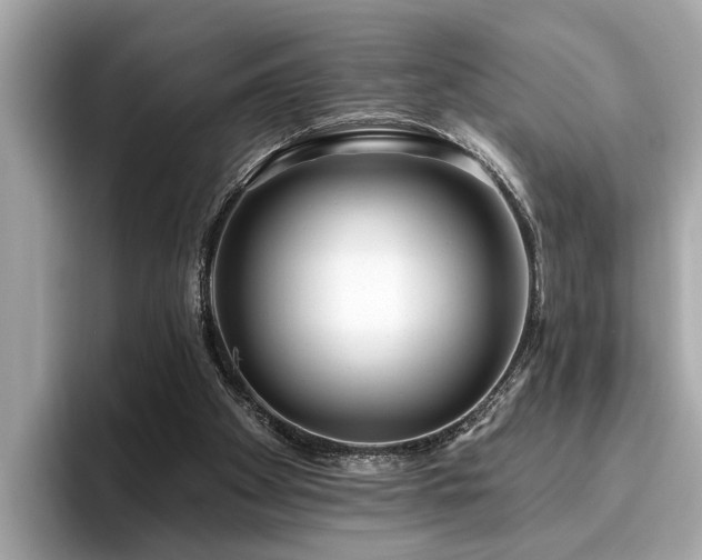 X0000096630105200802051115