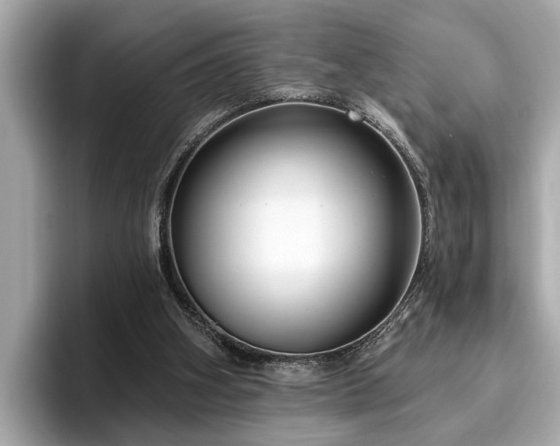 X0000096630106200802051115