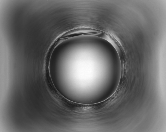 X0000096630108200802051115