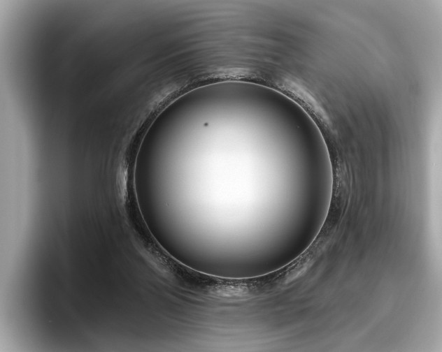 X0000096630110200802051115