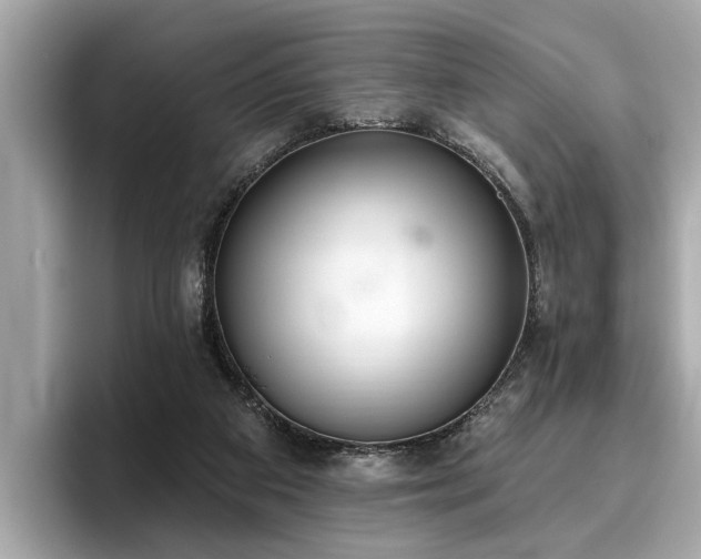 X0000096630113200802051115