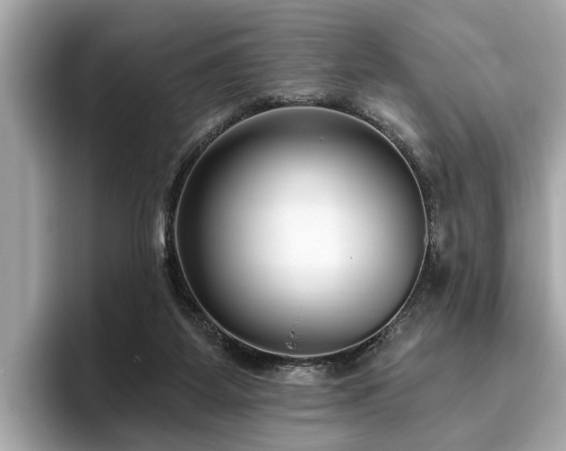 X0000096630115200802051115