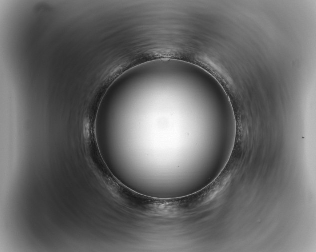 X0000096630117200802051115