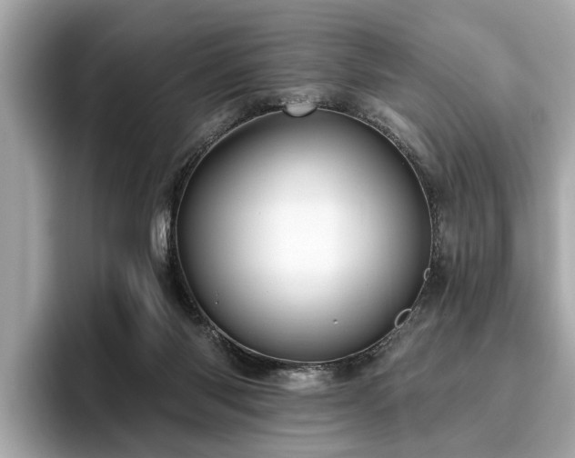 X0000096630118200802051115