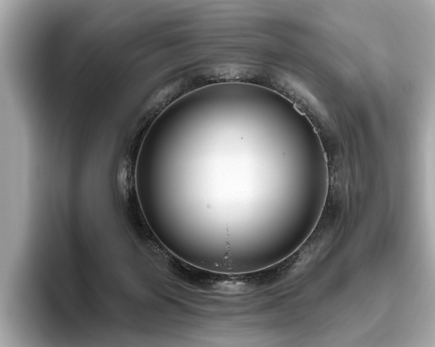 X0000096630119200802051115