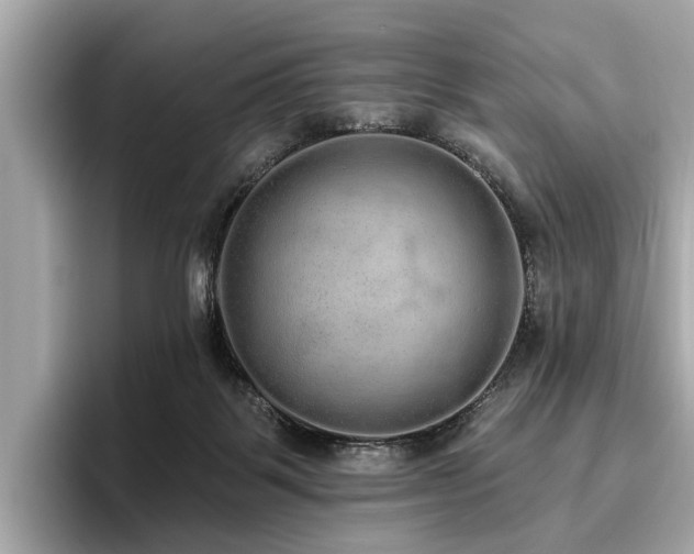 X0000096630123200802051115
