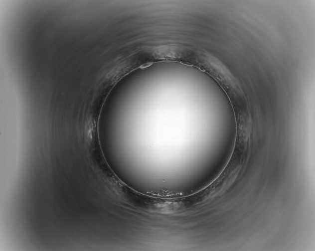 X0000096630125200802051115