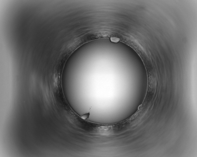 X0000096630126200802051115