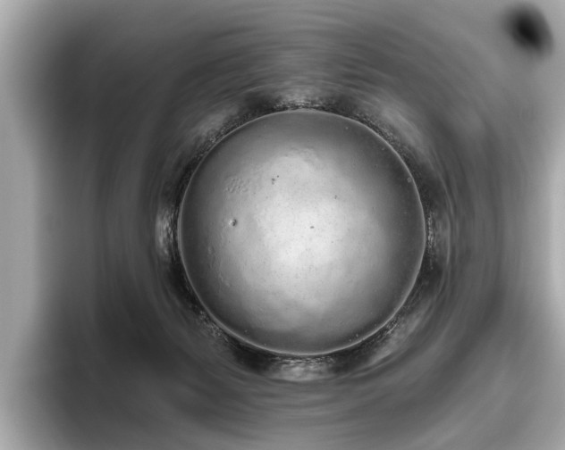 X0000096630127200802051115
