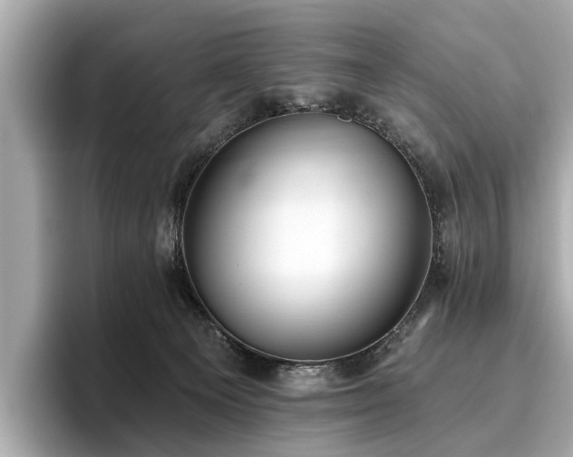 X0000096630129200802051115