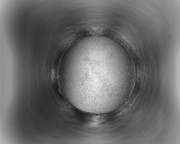 X0000096630130200802051115