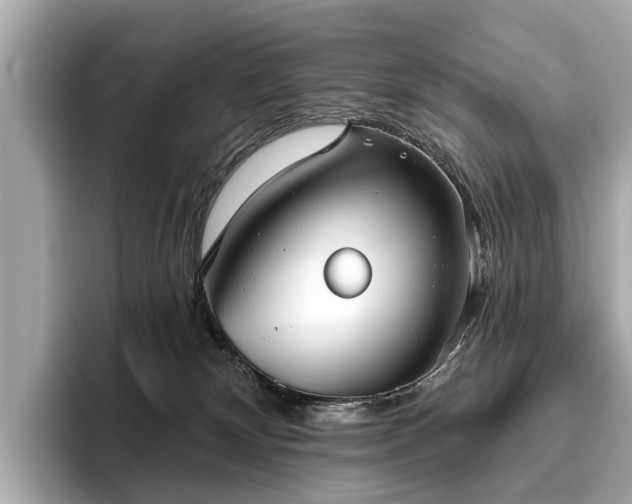 X0000096630132200802051115