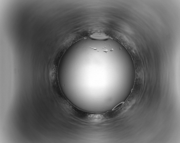 X0000096630133200802051115