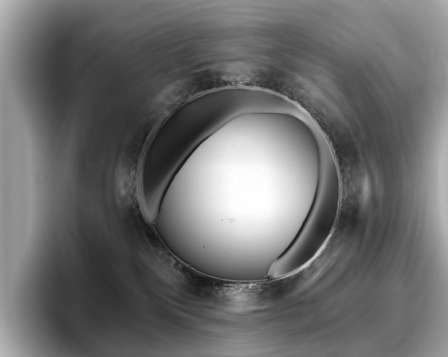 X0000096630136200802051115