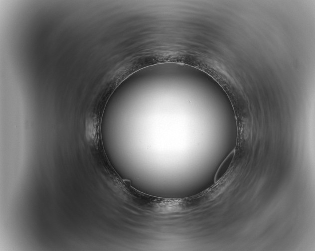 X0000096630138200802051115