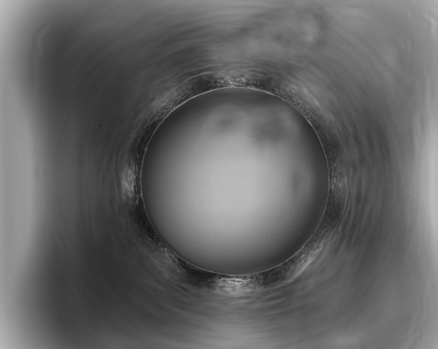 X0000096630139200802051115