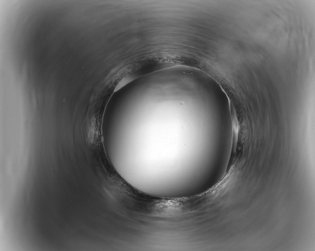 X0000096630140200802051115