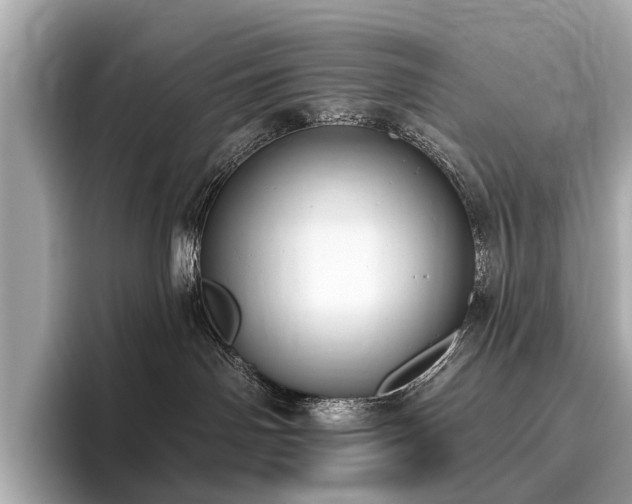 X0000096630142200802051115