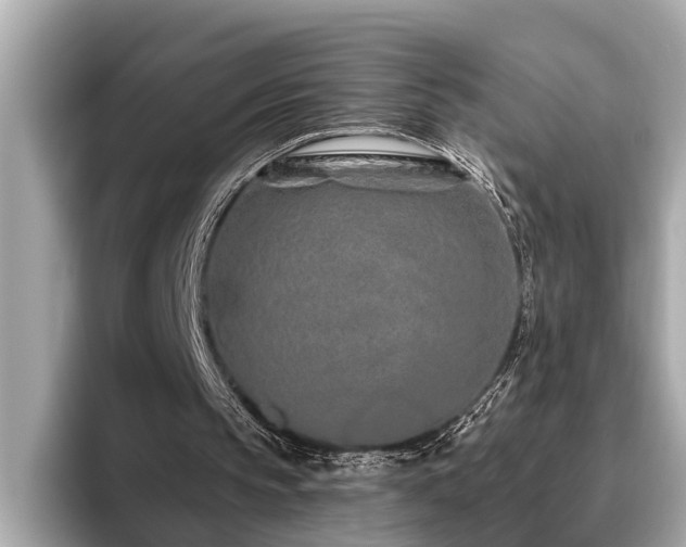 X0000096630145200802051114