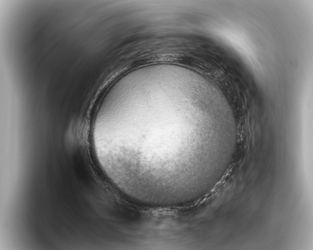 X0000096630146200802051114