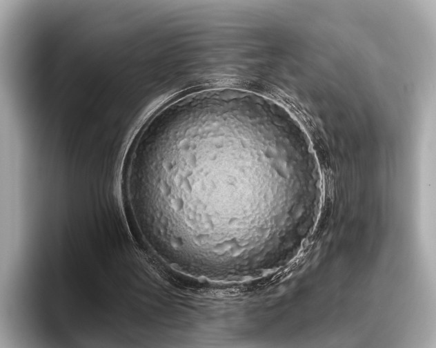 X0000096630147200802051114