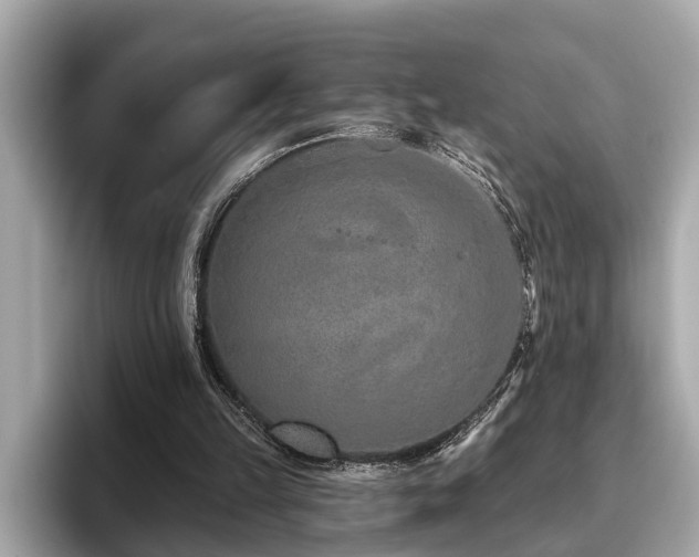 X0000096630149200802051114
