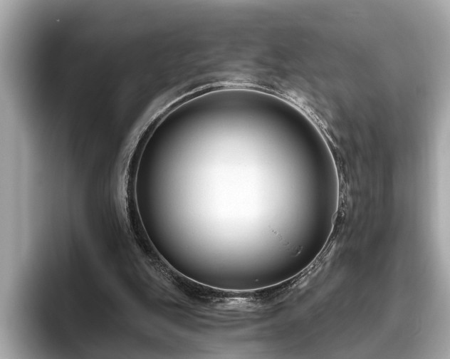 X0000096630151200802051114