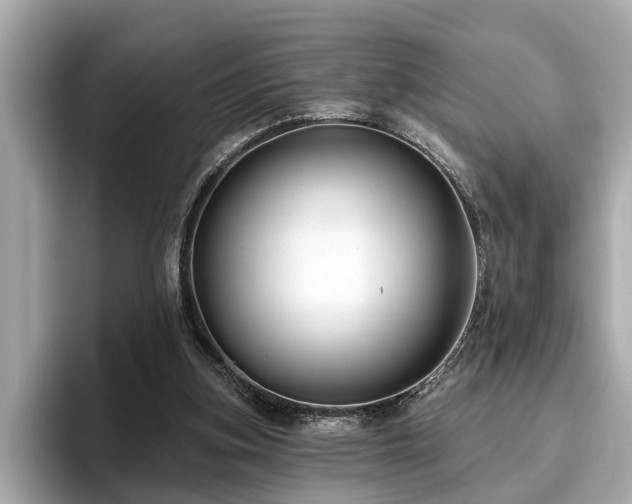 X0000096630155200802051114