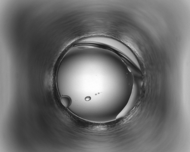 X0000096630156200802051114