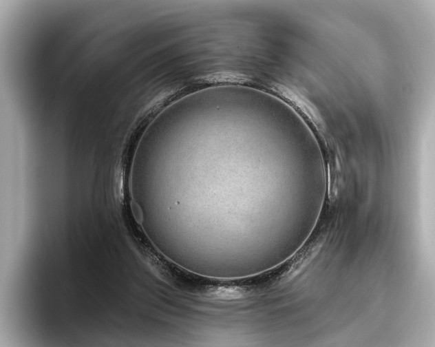 X0000096630157200802051114