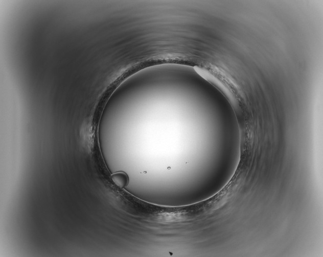X0000096630160200802051114