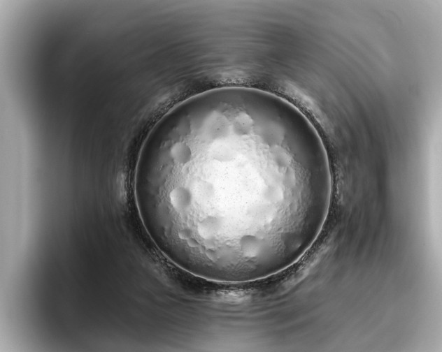 X0000096630161200802051114