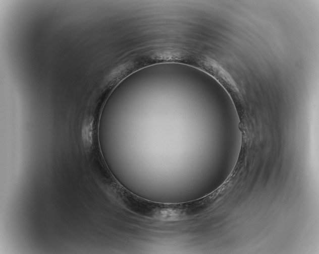 X0000096630163200802051114