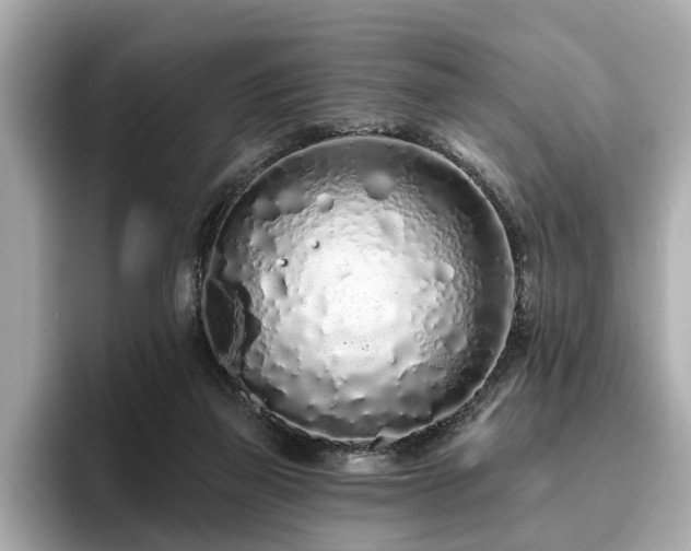 X0000096630165200802051114