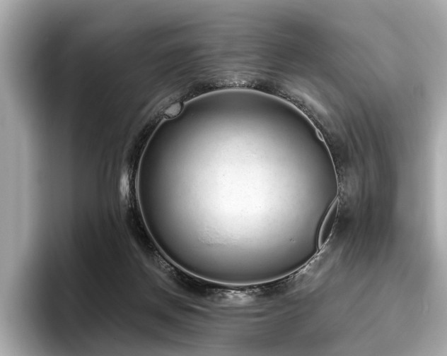 X0000096630166200802051114