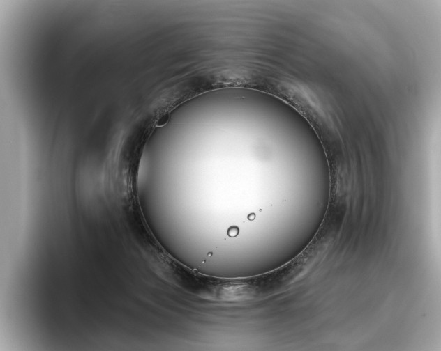 X0000096630173200802051115