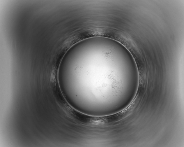 X0000096630175200802051115