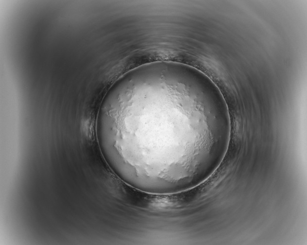X0000096630177200802051115